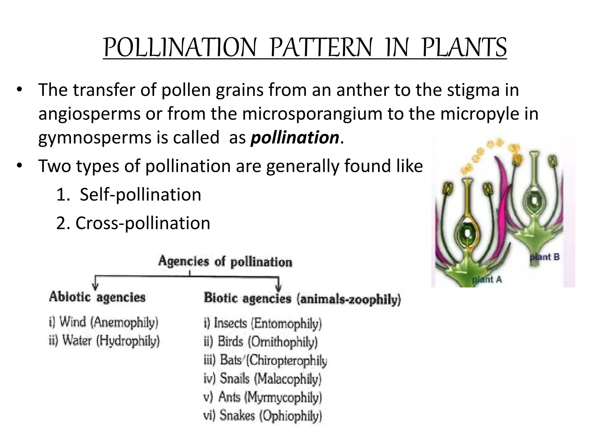 POLLINATION PATTERN IN PLANTS
• The transfer of pollen grains from an anther to the stigma in
angiosperms or from the microsporangium to the micropyle in
gymnosperms is called as pollination.
• Two types of pollination are generally found like
1. Self-pollination
2. Cross-pollination
 
