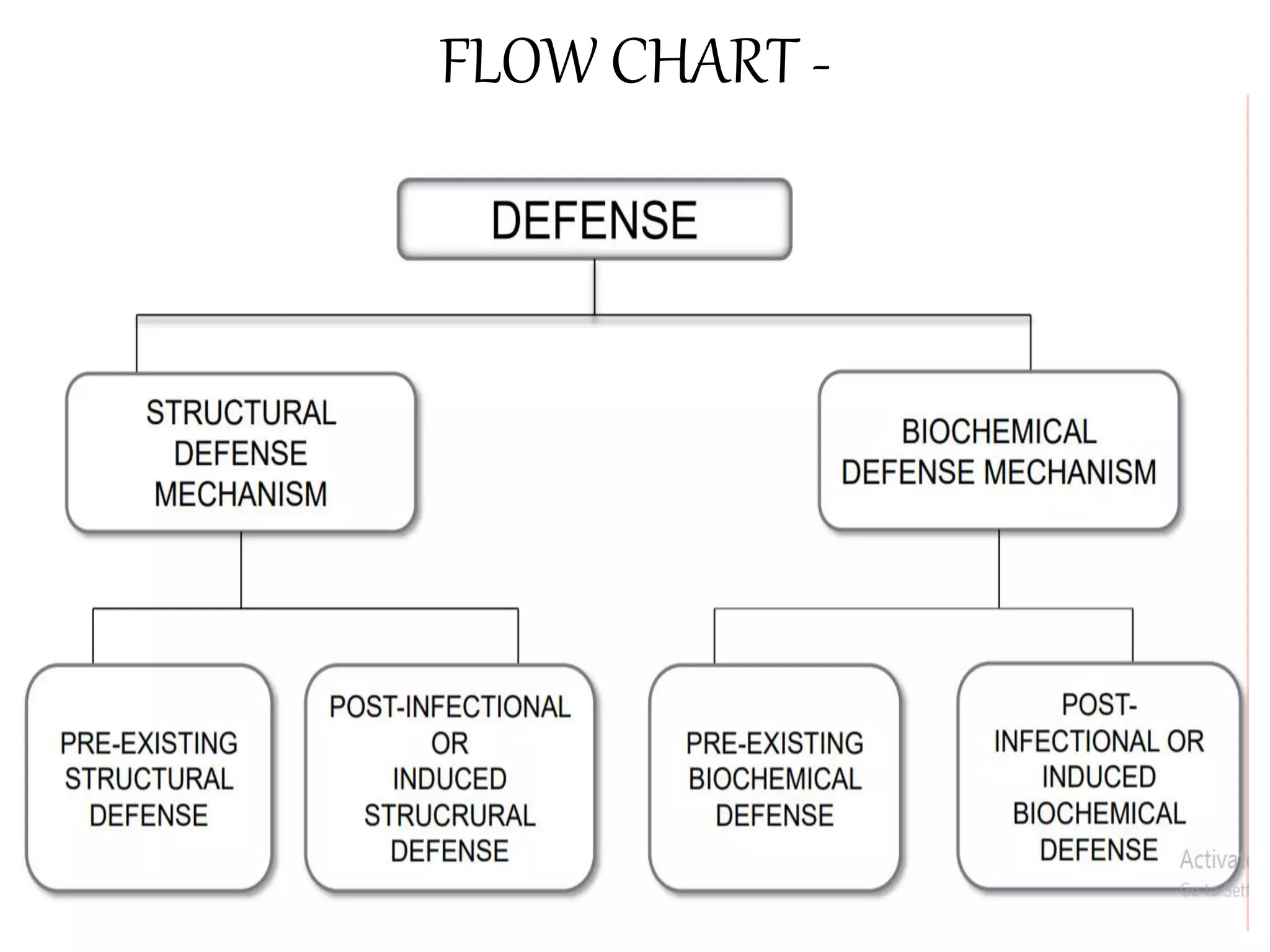 FLOW CHART -
 