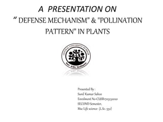 A PRESENTATION ON
“ DEFENSE MECHANISM” & "POLLINATION
PATTERN” IN PLANTS
Presented By :
Sunil Kumar Sahoo
Enrolment No-CUSB1703132020
SECOND Semester,
Msc Life science (L.Sc.-552)
 