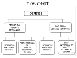 Defence Pattern Defense Mechanism & Pollination pattern in plants ppt | PPTX