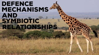 Mechanisms
defence
and
symbiotic
relationships
 