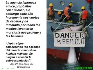 La agencia japonesa aduce propósitos "científicos", sin embargo cada año incrementa sus cuotas de cacería y ha intentado por todos los medios levantar la moratoria que protege a las ballenas.  ” Japón sigue  amenazando los océanos del mundo como si no hubiera mañana. Se niegan a aceptar la sobreexplotación ". dijo IPS Tim Birch, de  Greenpeace a Free PPS by   V it ano ble 