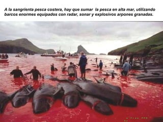 A la sangrienta pesca costera, hay que sumar  la pesca en alta mar, utilizando barcos enormes equipados con radar, sonar y explosivos arpones granadas.  a Free PPS by   V it ano ble 