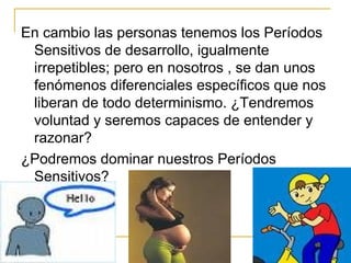 En cambio las personas tenemos los Períodos Sensitivos de desarrollo, igualmente irrepetibles; pero en nosotros , se dan unos  fenómenos diferenciales específicos que nos liberan de todo determinismo. ¿Tendremos voluntad y seremos capaces de entender y razonar? ¿Podremos dominar nuestros Períodos Sensitivos? 