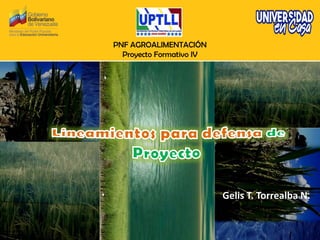 PNF AGROALIMENTACIÓN
Proyecto Formativo IV
Gelis T. Torrealba N.
 