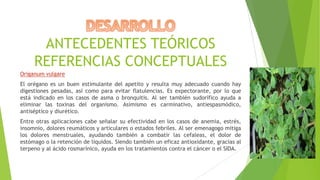 ANTECEDENTES TEÓRICOS
REFERENCIAS CONCEPTUALES
Origanum vulgare
El orégano es un buen estimulante del apetito y resulta muy adecuado cuando hay
digestiones pesadas, así como para evitar flatulencias. Es expectorante, por lo que
está indicado en los casos de asma o bronquitis. Al ser también sudorífico ayuda a
eliminar las toxinas del organismo. Asimismo es carminativo, antiespasmódico,
antiséptico y diurético.
Entre otras aplicaciones cabe señalar su efectividad en los casos de anemia, estrés,
insomnio, dolores reumáticos y articulares o estados febriles. Al ser emenagogo mitiga
los dolores menstruales, ayudando también a combatir las cefaleas, el dolor de
estómago o la retención de líquidos. Siendo también un eficaz antioxidante, gracias al
terpeno y al ácido rosmarínico, ayuda en los tratamientos contra el cáncer o el SIDA.

 