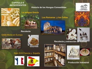 Historia de los Hongos Comestibles
La antigua Grecia
Los Romanos y los Celtas
Recolecta
Recolecta y extracción de toxinas
Edad Media en Europa
Siglo XVII Francia y España
Gourmet
Producción Industrial
CAPITULO II
ANTECEDENTES
 