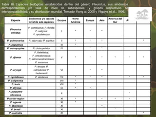 Especie
Sinónimos y/o taxa de
nivel de sub especies
Grupos
Norte
América
Europa Asia
América del
Sur
África Australia
Pleurotus
otreatus
P. combilunus; P. florida;
P. salignus;
P. spodoleucus
I * * *
P. pulmonarius P. sajor-caju; P. sapidus II * * * *
P. populinus III *
P. cornopopiae P. citrinopeliatus IV * *
P. djamor
P. flabellatus;
P. otreatoroseus;
P. salmoneostramineus;
P. euosmus
V * * * * * *
P. eryngii
P. ferulae; P.
nefrodensis; P.
hadamardii
VI * *
P. cystidiosus P. abolanus VII * * * * *
P. caliptratus VIII *
P. levis VIII *
P. dryinus IX * *
P. purpureo-
olivaceus
X *
P.turber-regiun XI * * * *
P. agaves XI *
P. abieticola XI *
P. brazil XI *
P. australis XI *
Tabla III Especies biológicas establecidas dentro del género Pleurotus, sus sinónimos
correspondientes y/o taxa de nivel de subespecies, y grupos respectivos de
íntercompatibilidad; y su distribución mundial. Tomado: Kong w. 2005 y Vilgalys et al., 1996.
 