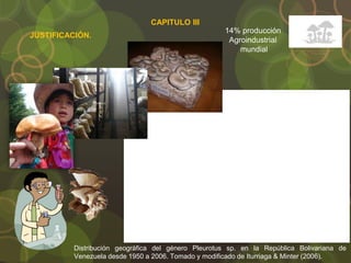JUSTIFICACIÓN.
CAPITULO III
14% producción
Agroindustrial
mundial
Distribución geográfica del género Pleurotus sp. en la República Bolivariana de
Venezuela desde 1950 a 2006. Tomado y modificado de Iturriaga & Minter (2006).
 