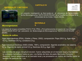 CAPITULO IV
MATERIALES Y METODOS
La presente investigación se llevó acabo en el Laboratorio de Biotecnología
de los Microorganismos “SIXTO DAVID ROJAS” de la Facultad de Ciencias de la
Universidad de los Andes Estado Mérida.
MATERIALE
S
Microorganismos.
Las cepas de hongos comestibles P3215, P132, PRAL y Pcit pertenecientes al cepario de macrohongos
“SIXTO DAVIS ROJO” del Laboratorio de Biotecnología de Microorganismos “SIXTO DAVID ROJAS”
(BIOMI)
Medios de cultivo.
Agar papa dextrosa (PDA), (Gaitán y Pérez, 2002). composición: Papa 200,0 g, Agar-Agar
15,0 g, Dextrosa 20,0 g, Levadura 2,0 g.
Agar Sabaraud Dextrosa (ASD) (Odds, 1991), composición: digerido enzimático de caseína
5,0 g, Digerido de tejido animal 5,0 g, Dextrosa 40,0 g, Agar 15,0.
Las semillas de sorgo (Sorghum bicolor) fueron adquiridas en el mercado local y mantenidas
en embaces herméticos hasta su uso, Los fardos de heno de pasto Bermuda (Cynodon
dactylon) fueron adquiridos en el mercado local y se procesaron en molino de martillo hasta un
tamaño de particula de 1 cm.
 