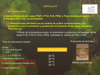 3. Características de las cepas P3215, P132, Pcit, PRAL y Post crecidas en medios
convencionales y no convencionales.
METODOLOGÍAS
2. Determinación del efecto de los medios de cultivo convencionales y la
temperatura en el crecimiento y producción de biomasa de las cepas del género
Pleurotus sp.
1 Efecto de la temperatura sobre el crecimiento y producción de biomasa de las
cepas P132, P3215, Post y PRAL cultivadas en placas de PDA y ASD.
Donde:
A = área de la muestra
r = radio
20 ºC
25 ºC
30 ºC
35 °C
Temperaturas evaluadas
r = m (t) –b
t = tiempo de incubación d
m = tasa de crecimiento micelial mm/d
r = radio micelial mm.
Tasa de crecimiento micelial Producción de biomasa
Método gravimétrico
CAPITULO IV
 