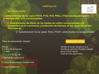 3. Características de las cepas P3215, P132, Pcit, PRAL y Post crecidas en medios
convencionales y no convencionales.
METODOLOGÍAS
2. Determinación del efecto de los medios de cultivo convencionales y la
temperatura en el crecimiento y producción de biomasa de las cepas del género
Pleurotus sp.
2 Caracterización de las cepas Post y P3215 sobre medios no convencionales.
Donde:
A = área de la muestra
r = radio
Semilla de sorgo (Sorghum sp.),
Semilla de parchita (Passiflora edulis),
Arroz (Oryza sativa)
Tuza de maíz (Zea mays)
Medios de cultivo
r = m (t) –b
t = tiempo de incubación d
m = tasa de crecimiento micelial mm/d
r = radio micelial mm.
Tasa de crecimiento micelial
CAPITULO IV
 