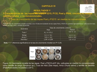 CAPITULO VI
RESULTADOS Y
DISCUSIÓN
3 Tasa de crecimiento de las cepas Post y P3215 en medios no convencionales
3 Características de las cepas las cepas P3215, P132, Post y PRAL crecidas en medios
convencionales y no convencionales.
Sustratos
Tasa de crecimiento (mm/d)
Post P3215
Tuza a 4,1 ± 0 0,1 4,9 ± 0,3
Sorgo 2,1 ± 0,1 3,2 ± 0,1
Arroz b 3,9 ± 0,2 4,6 ± 0,2
Parchita c 1,49 ± 0,09 1,6 ± 0,1
Tabla XI Tasa de crecimiento micelial (mm/día) a los 15 días de incubación de las cepas Post y P3215 en sustratos lignocelulósicos como tuza de maíz,
semilla de sorgo, arroz y semilla de parchita..
Nota: a, b y c diferencia significativa en la tasa de crecimiento micelial con P< 0,05.
Figura 14 Crecimiento micelial de las cepas Post y P3215 al 6to día cultivadas en medios no convencionales
como semilla de sorgo (Sorghum sp.), Tuza de maíz (Zea mays), Arroz (Oryza sativa) y semilla de parchita
(Passiflora edulis) incubadas a 25°C.
 
