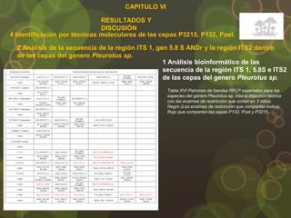 CAPITULO VI
RESULTADOS Y
DISCUSIÓN
4 Identificación por técnicas moleculares de las cepas P3215, P132, Post.
2 Análisis de la secuencia de la región ITS 1, gen 5.8 S ANDr y la región ITS2 dentro
de las cepas del genero Pleurotus sp.
1 Análisis bioinformático de las
secuencia de la región ITS 1, 5.8S e ITS2
de las cepas del genero Pleurotus sp.
Tabla XVI Patrones de bandas RFLP esperados para las
especies del genero Pleurotus sp. tras la digestión teórica
con las enzimas de restricción que cortan en 3 sitios.
Negro (Las enzimas de restricción que comparten todos),
Rojo que comparten las cepas P132, Post y P3215.
 