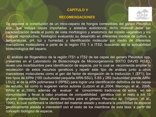 CAPITULO V
RECOMENDACIONES
Se requiere la constitución de un mico-cepario de hongos comestibles del géneo Pleurotus
spp., que incluya cepas importadas y aislados autóctonos; dicho material debe ser
caracterización desde el punto de vista morfologíco y anatomico del micelio vegetativo y los
cuerpos reproductivo, fisiologíco evaluando su desarrollo en diferentes medios de cultivo, a
temperaturas, pH, luz y humedad; y identificación molecular por medio de diferentes
marcadores moleculares a parte de la región ITS 1 a ITS2; buscando así la aplicabilidad
biotecnologíca del cepario.
El análisis de filogenético de la región ITS1 a ITS2 de las cepas del genero Pleurotus spp.
presentes en el Laboratorio de Biotecnología de Microorganismos SIXTO DAVID ROJO,
revelo una incertidumbre para identificación de especie, por lo cual se recomienda ampliar la
recolección de estos recursos genéticos y repetir este tipo de análisis junto a otros
marcadores moleculares como el gen del factor de elongación de la traducción 1 (EF1), los
tres tipos de ARNr [18S (subunidad pequeña ARN-SSU), 5.8S y 28S (subunidad grande ARN-
LSU)]; el de la ARN polimerasa II (RPB2) para lograr una identificación definitiva de las cepas
de estudio, tal como lo sugieren varios autores (Lutzoni et al.,2004; Marongiu et al., 2005;
White et al.,1990), además de evaluar el conocimiento tradicional de estos en las
comunidades y llevar a cabo pruebas de compatibilidad genética con el resto a los 15
grupos interestériles hasta ahora descritos para el género Pleurotus sp. (Vilgalys et al.,
1996), lo cual confirmará la identidad del material aislado y evaluara la posibilidad de especie
genéticamente aislada e interestéril con el resto de los miembros de esta taxa, a partir del
concepto biológico de especie.
 