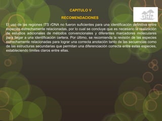 CAPITULO V
RECOMENDACIONES
El uso de las regiones ITS rDNA no fueron suficientes para una identificación definitiva entre
especies estrechamente relacionadas, por lo cual se concluye que es necesario la realización
de estudios adicionales de métodos convencionales y diferentes marcadores moleculares
para llegar a una identificación certera. Por último, se recomienda la revisión de las especies
estrechamente relacionadas para lograr una correcta anotación tanto de las secuencias como
de las estructuras secundarias que permitan una diferenciación correcta entre estas especies,
estableciendo límites claros entre ellas.
 
