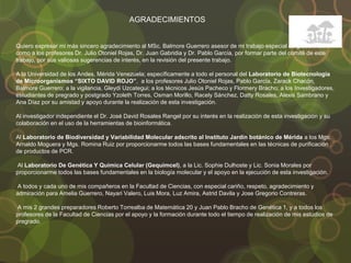 AGRADECIMIENTOS
Quiero expresar mi más sincero agradecimiento al MSc. Balmore Guerrero asesor de mi trabajo especial de grado. Así
como a los profesores Dr. Julio Otoniel Rojas, Dr. Juan Gabridia y Dr. Pablo García, por formar parte del comité de este
trabajo, por sus valiosas sugerencias de interés, en la revisión del presente trabajo.
A la Universidad de los Andes, Mérida Venezuela; específicamente a todo el personal del Laboratorio de Biotecnología
de Microorganismos “SIXTO DAVID ROJO”, a los profesores Julio Otoniel Rojas, Pablo García, Zarack Chacón,
Balmore Guerrero; a la vigilancia, Gleydi Uzcategui; a los técnicos Jesús Pacheco y Flormery Bracho; a los Investigadores,
estudiantes de pregrado y postgrado Yzoleth Torres, Osman Morillo, Racely Sánchez, Datty Rosales, Alexis Sambrano y
Ana Díaz por su amistad y apoyo durante la realización de esta investigación.
Al investigador independiente el Dr. José David Rosales Rangel por su interés en la realización de esta investigación y su
colaboración en el uso de la herramientas de bioinformática.
Al Laboratorio de Biodiversidad y Variabilidad Molecular adscrito al Instituto Jardín botánico de Mérida a los Mgs.
Arnaldo Moguera y Mgs. Romina Ruiz por proporcionarme todos las bases fundamentales en las técnicas de purificación
de productos de PCR.
Al Laboratorio De Genética Y Química Celular (Gequimcel), a la Lic. Sophie Dulhoste y Lic. Sonia Morales por
proporcionarme todos las bases fundamentales en la biología molecular y el apoyo en la ejecución de esta investigación.
A todos y cada uno de mis compañeros en la Facultad de Ciencias, con especial cariño, respeto, agradecimiento y
admiración para Amelia Guerrero, Nayari Valero, Luis Mora, Luz Amira, Astrid Davila y Jose Gregorio Contreras.
A mis 2 grandes preparadores Roberto Torrealba de Matemática 20 y Juan Pablo Bracho de Genética 1, y a todos los
profesores de la Facultad de Ciencias por el apoyo y la formación durante todo el tiempo de realización de mis estudios de
pregrado.
 
