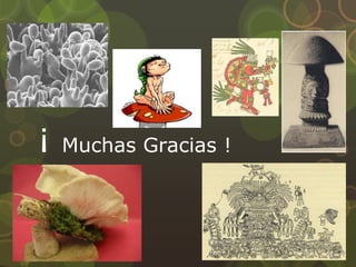 ¡ Muchas Gracias !
 