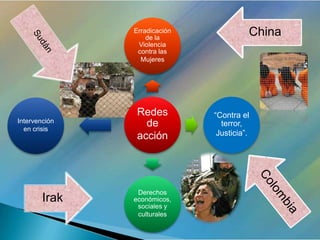 Defensa De Los Dh Amnistia