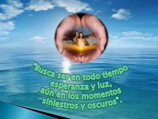 Defensa De Los Dh Amnistia