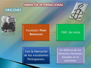 Defensa De Los Dh Amnistia