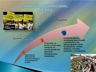 Defensa De Los Dh Amnistia