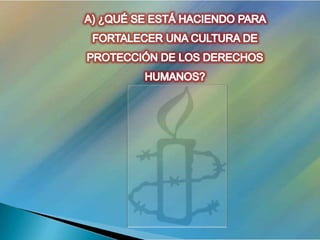 Defensa De Los Dh Amnistia