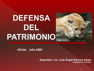 DEFENSA
   DEL
PATRIMONIO
  FECHA: Julio 2009


                 Expositor: Lic. Luis Ángel Barrios Salas
                                          Consultor en turismo



                                                  1
 