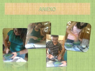 Defensa del proyecto "Áloe Vera"