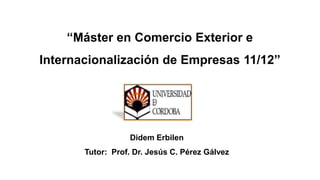 “Máster en Comercio Exterior e
Internacionalización de Empresas 11/12”




                  Didem Erbilen
       Tutor: Prof. Dr. Jesús C. Pérez Gálvez
 