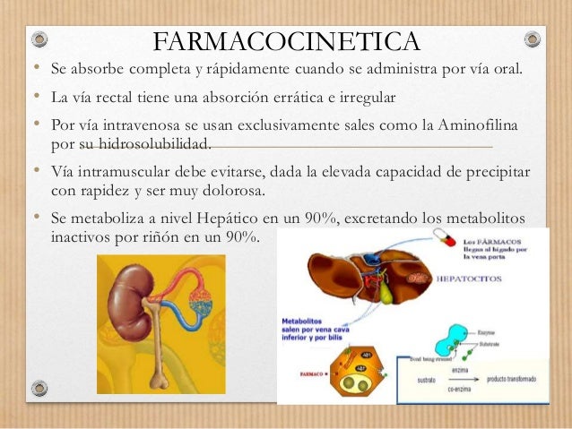 Broncodilatadores, antitusígenos mucoliticos y Broncodilatadores, antitusígenos mucoliticos y