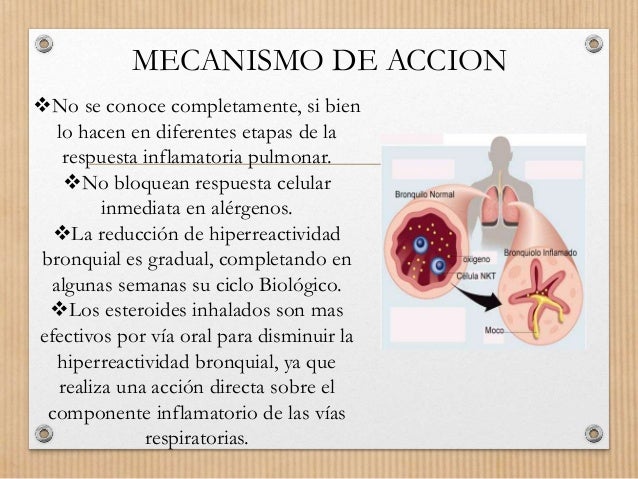 Broncodilatadores, antitusígenos mucoliticos y expectorantes: antiinf…