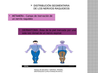 DEFENSA HISTORIA DE LA ANESTESIA, CLASIFICACIÓN | PPTX