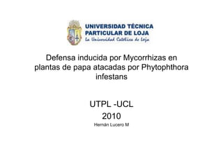 Defensa inducida por Mycorrhizas en
plantas de papa atacadas por Phytophthora
                 infestans


              UTPL -UCL
                2010
               Hernán Lucero M
 