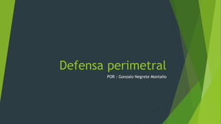 Defensa perimetral 
POR : Gonzalo Negrete Montaño 
 