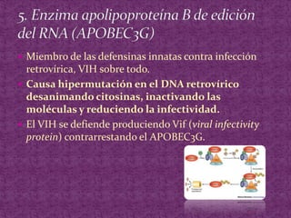 Miembro de las defensinas innatas contra infección retrovírica, VIH sobre todo.Causa hipermutación en el DNA retrovírico desanimando citosinas, inactivando las moléculas y reduciendo la infectividad.El VIH se defiende produciendo Vif (viral infectivity protein) contrarrestando el APOBEC3G.5. Enzima apolipoproteína B de edición del RNA (APOBEC3G)