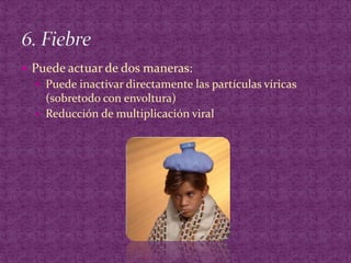 Puede actuar de dos maneras:Puede inactivar directamente las partículas víricas (sobretodo con envoltura)Reducción de multiplicación viral6. Fiebre