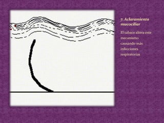 7. Aclaramiento mucociliarEl tabaco altera este mecanismo causando más infecciones respiratorias