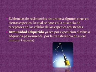 Evidencias de resistencias naturales a algunos virus en ciertas especies, lo cual se basa en la ausencia de receptores en las células de las especies resistentes.Inmunidad adquirida ya sea por exposición al virus o adquirida pasivamente  por la transferencia de suero inmune (vacuna)