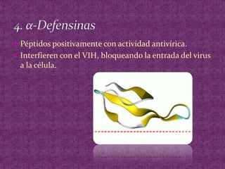 Péptidos positivamente con actividad antivírica.Interfieren con el VIH, bloqueando la entrada del virus a la célula.4. α-Defensinas