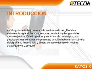 INTRODUCCIÓN
en el siguiente trabajo veremos la anatomía de las glándulas
salivales (las glándulas mayores, sus conductos y las glándulas
menores)su función e irrigacion y su anatomía radiológica, sus
patologías mas comunes o frecuentes, también hablaremos sobre la
sialografía su importancia y si esta en uso o desuso en nuestra
actualidad y el ¿porque?
 