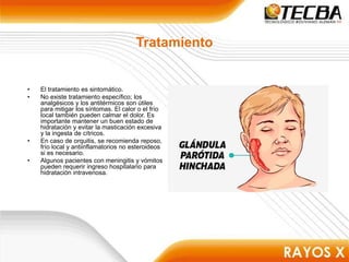 Tratamiento
• El tratamiento es sintomático.
• No existe tratamiento específico; los
analgésicos y los antitérmicos son útiles
para mitigar los síntomas. El calor o el frío
local también pueden calmar el dolor. Es
importante mantener un buen estado de
hidratación y evitar la masticación excesiva
y la ingesta de cítricos.
• En caso de orquitis, se recomienda reposo,
frío local y antiinflamatorios no esteroideos
si es necesario.
• Algunos pacientes con meningitis y vómitos
pueden requerir ingreso hospitalario para
hidratación intravenosa.
 