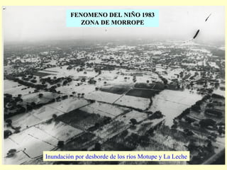 FENOMENO DEL NIÑO 1983FENOMENO DEL NIÑO 1983
ZONA DE MORROPEZONA DE MORROPE
Inundación por desborde de los ríos Motupe y La Leche
 