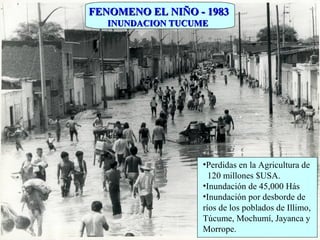 •Perdidas en la Agricultura de
120 millones $USA.
•Inundación de 45,000 Hás
•Inundación por desborde de
ríos de los poblados de Illimo,
Túcume, Mochumí, Jayanca y
Morrope.
INUNDACION TUCUMEINUNDACION TUCUME
FENOMENO EL NIÑO - 1983FENOMENO EL NIÑO - 1983
 