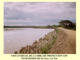 VISTA PARCIAL DE LA OBRA DE PROTECCION CON
TETRAPODOS DE 0.6 Ton y 2.4 Ton
 