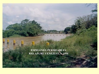 ESPIGONES PERMEABLES
RIO APURE VENEZUELA 1994
 