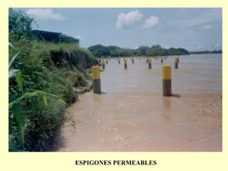 ESPIGONES PERMEABLES
 