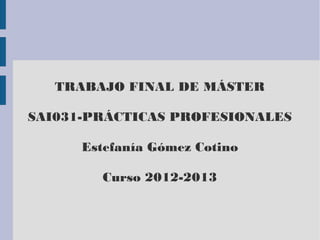TRABAJO FINAL DE MÁSTER
SAI031-PRÁCTICAS PROFESIONALES
Estefanía Gómez Cotino
Curso 2012-2013

 