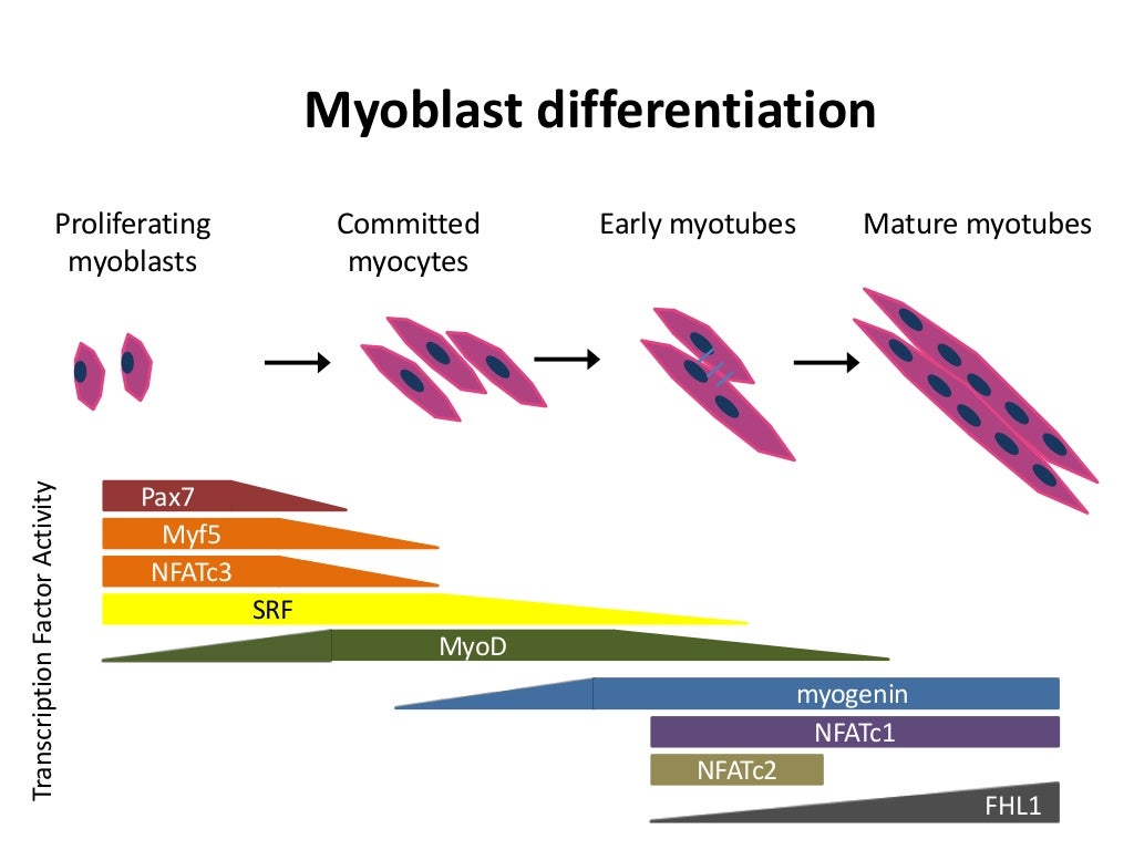Dissertation fusion 06 image