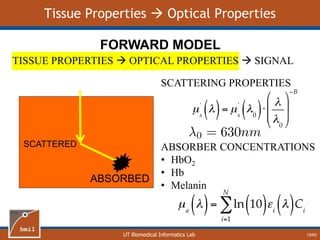 UT Biomedical Informatics Lab
Tissue Properties  Optical Properties
SCATTERED
ABSORBED
TISSUE PROPERTIES  OPTICAL PROPERTIES  SIGNAL
FORWARD MODEL
SCATTERING PROPERTIES
ABSORBER CONCENTRATIONS
• HbO2
• Hb
• Melanin
18/60
 
